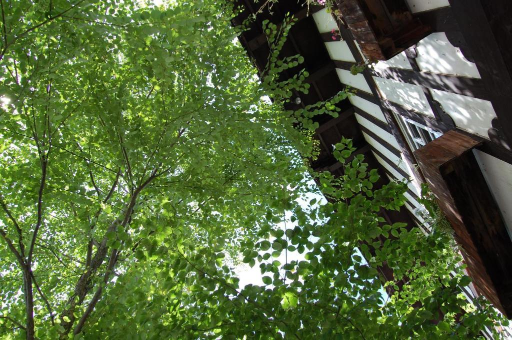 Petit Hotel Alumu Matsumoto Bagian luar foto