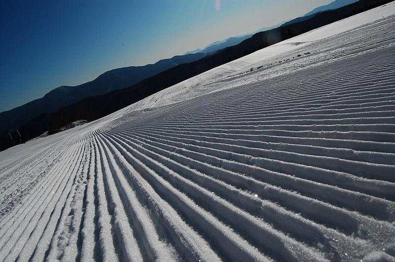 Petit Hotel Alumu Matsumoto Bagian luar foto